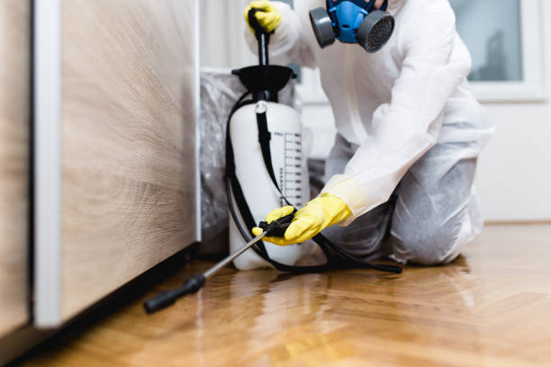 Best Mosquito Control Services  in Connerton, FL
