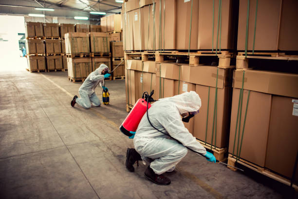 Best Local Pest Control Services  in Connerton, FL