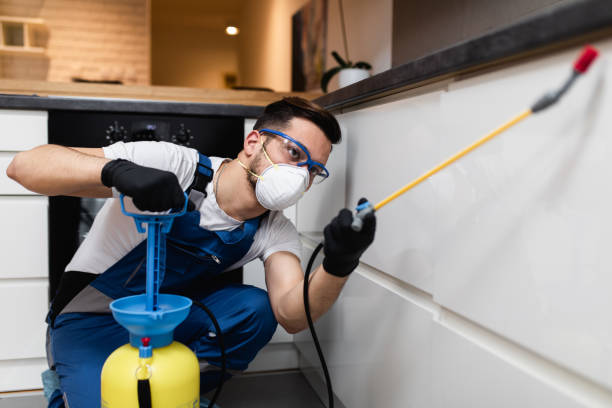 Best Insect Control  in Connerton, FL