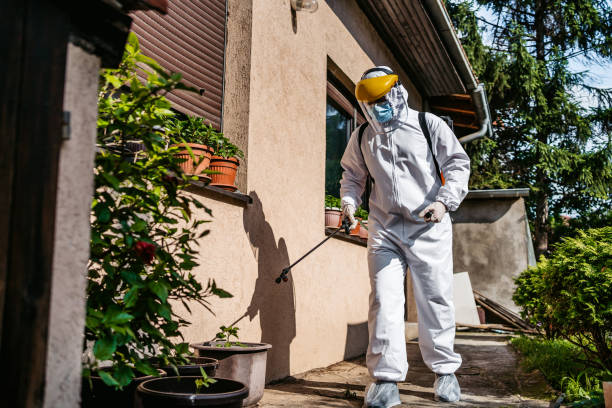 Best Pest Prevention Services  in Connerton, FL