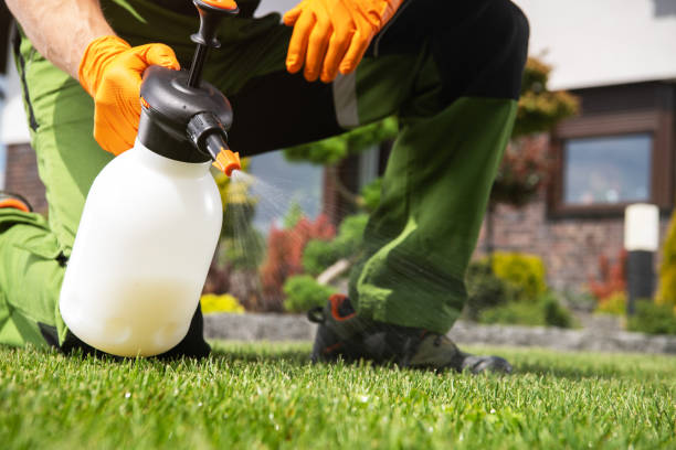 Best Wasp Removal Services  in Connerton, FL
