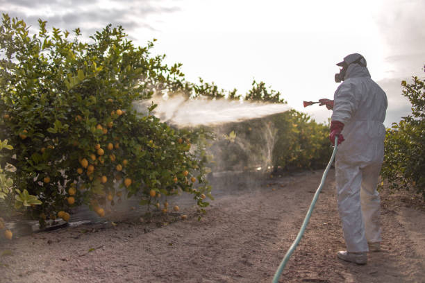 Best Best Pest Control Companies  in Connerton, FL